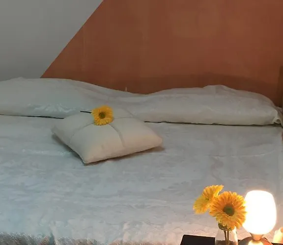 公寓 Retro Iii 科佩尔